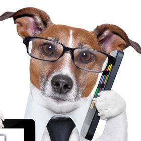 Marketing para veterinarios