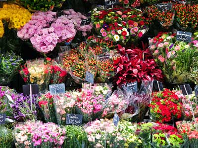 Franquicias de floristerías: negocios que florecen