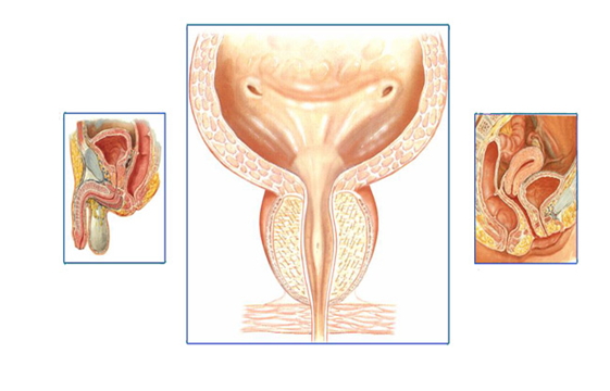 Recomendaciones para impedir la incontinencia urinaria